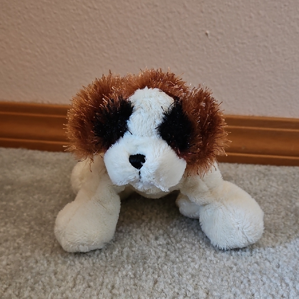 Lil Kinz St Bernard